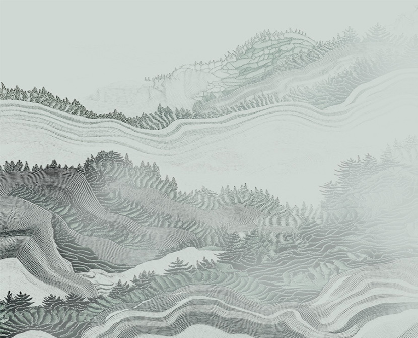 品牌文化与策略（DNA）